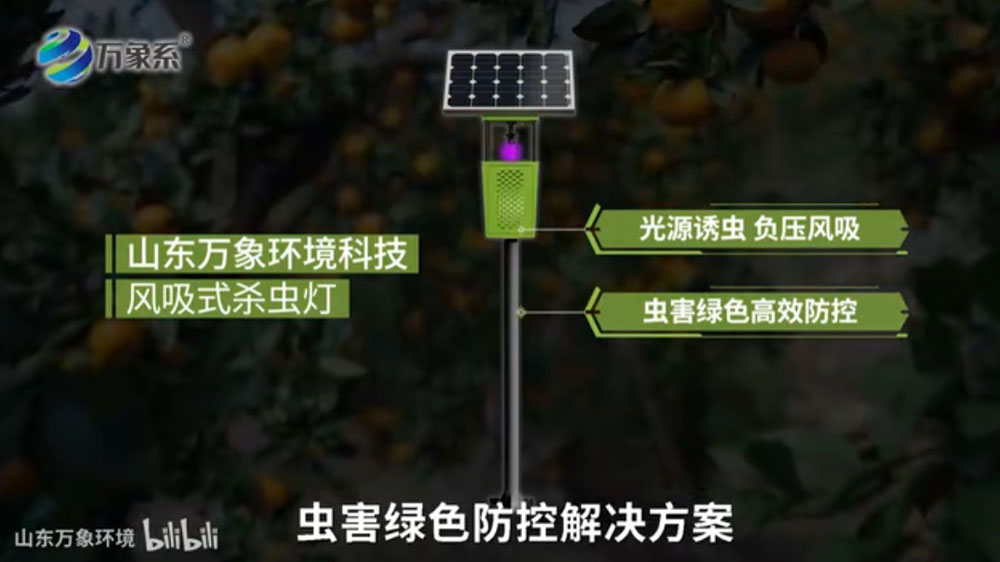 風(fēng)吸式太陽(yáng)能殺蟲燈-利用誘蟲光源吸引昆蟲并通過(guò)設(shè)備機(jī)制捕獲或消滅